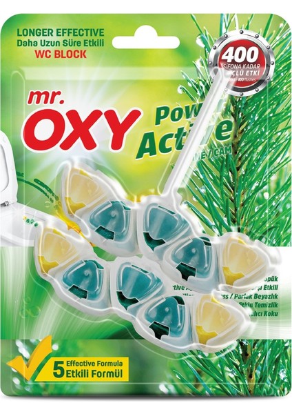 OXY туалетные блоки Хвоя 50гр